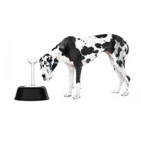 photo lupita resin dog bowl with 18/10 stainless steel cup, black 2